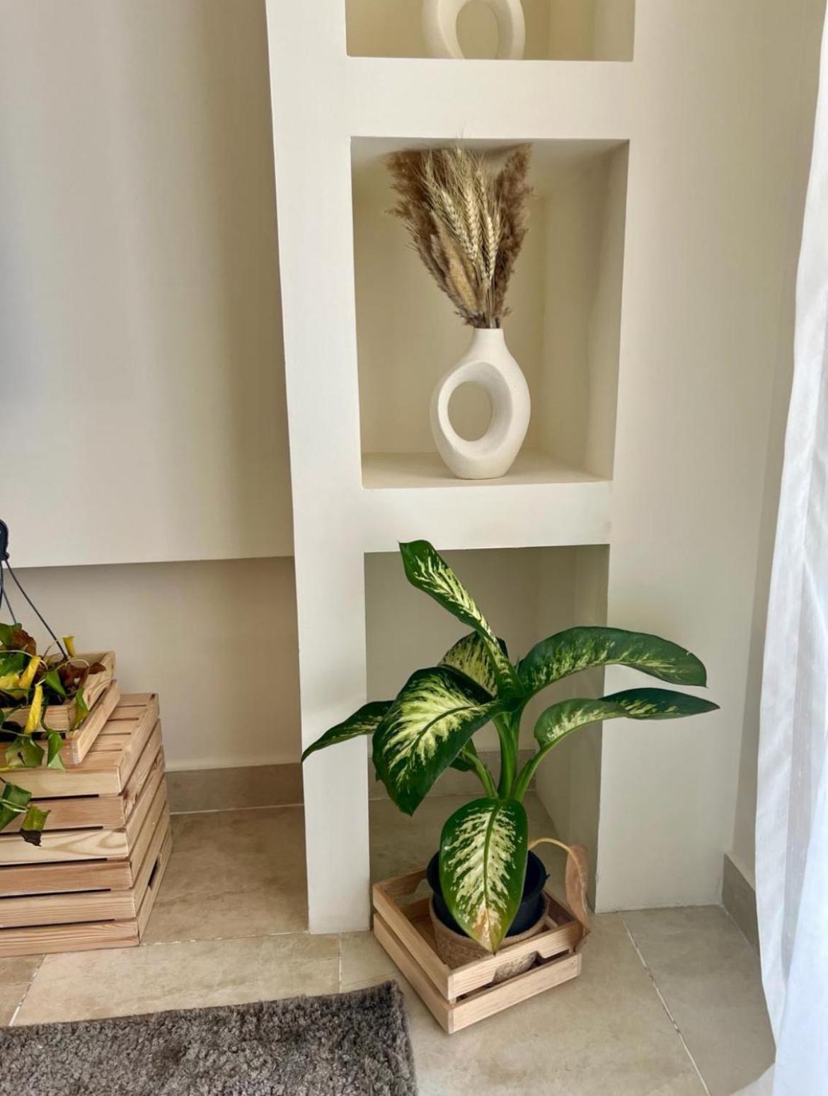 Cozy White Bear Appartement Le Caire
